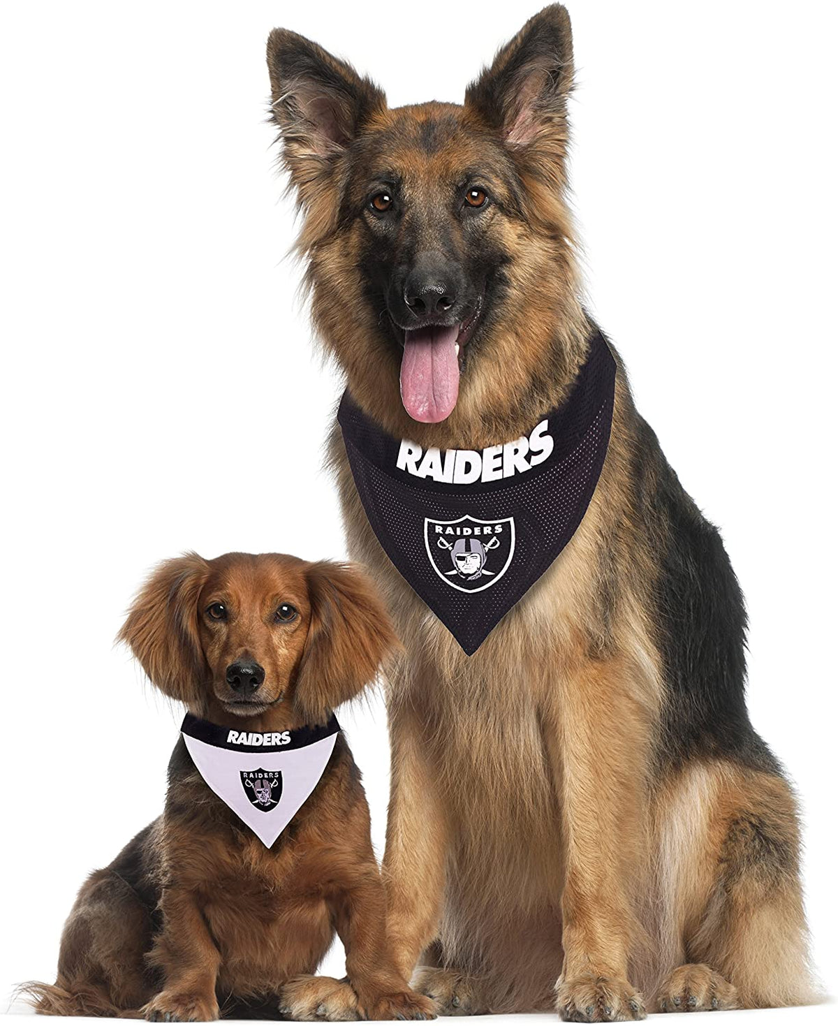 Las Vegas Raiders Bandana NFL Dog Bandana 