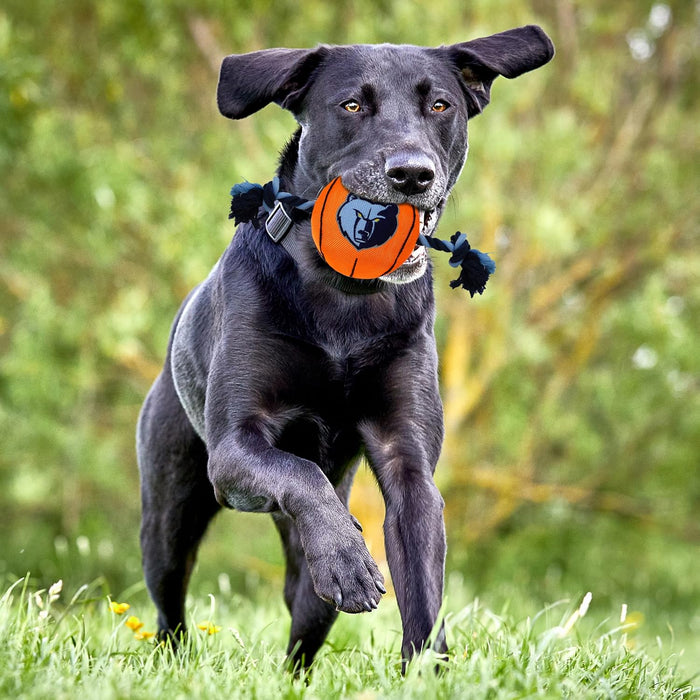 Memphis Grizzlies Ball Rope Toys