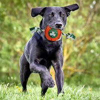 Boston Celtics Ball Rope Toys
