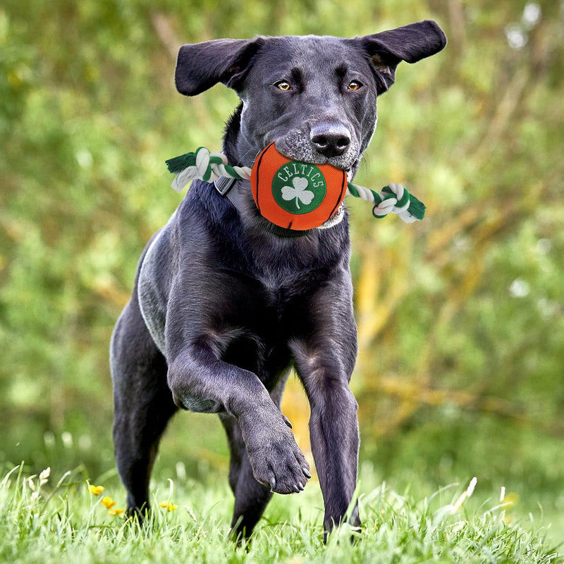 Boston Celtics Ball Rope Toys