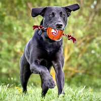 Atlanta Hawks Ball Rope Toys