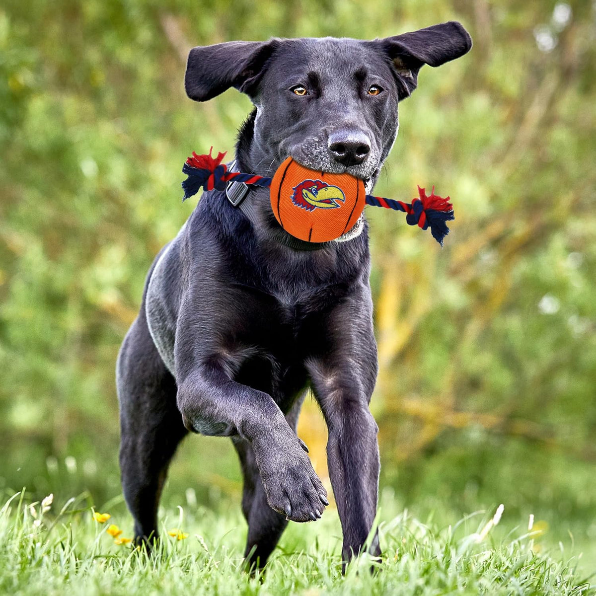KS Jayhawks Ball Rope Toys