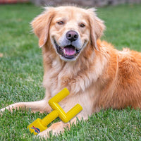 Buffalo Bills Nylon Goal Post Chew Toy