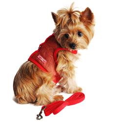 Red Cool Mesh Harness with Leash