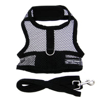 Black Cool Mesh Harness with Leash
