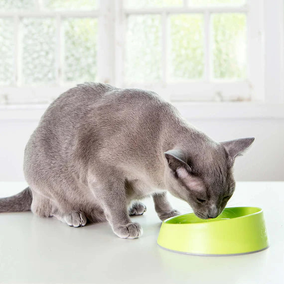 LickiMat OH Bowl for Cats - Green