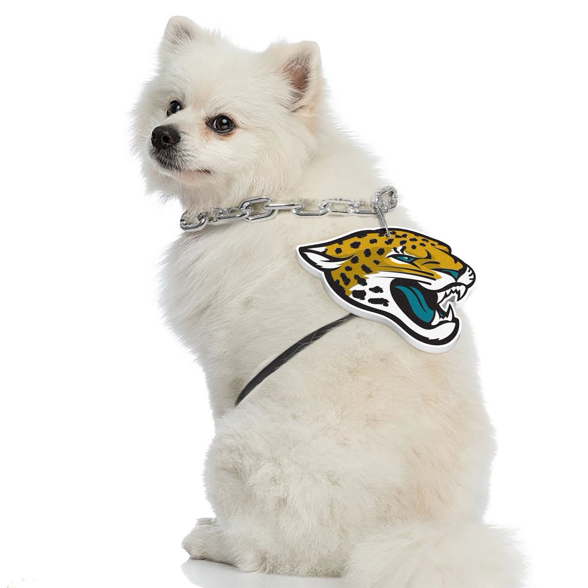 Jacksonville Jaguars Pet Fan Chain