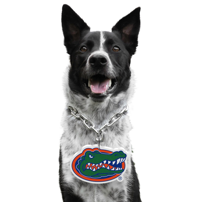 FL Gators Pet Fan Chain