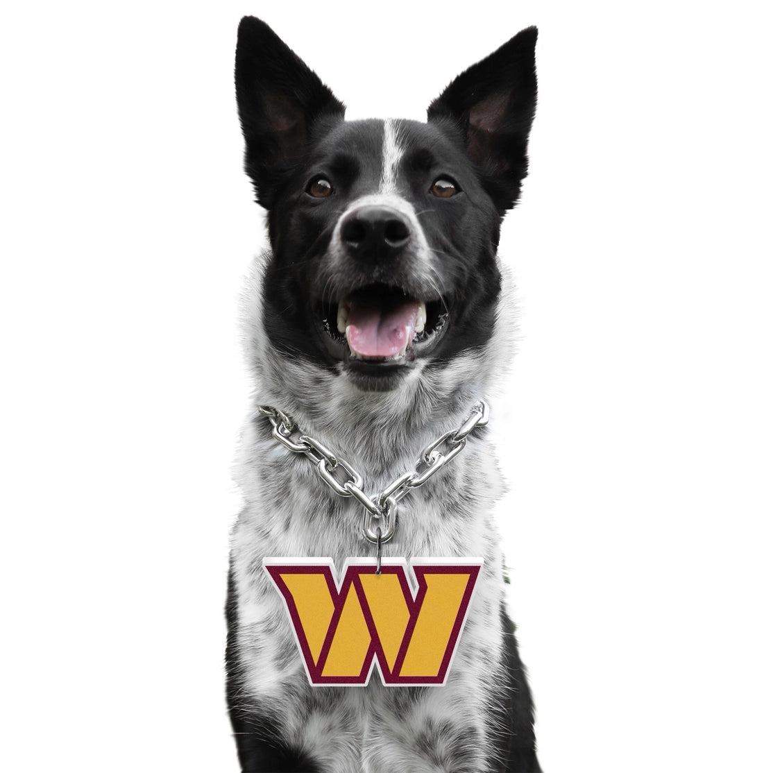 Washington Commanders Pet Fan Chain