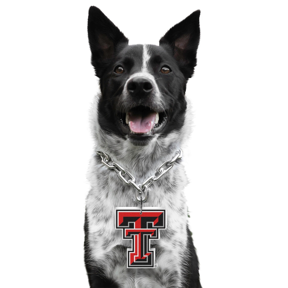 TX Tech Red Raiders Pet Fan Chain