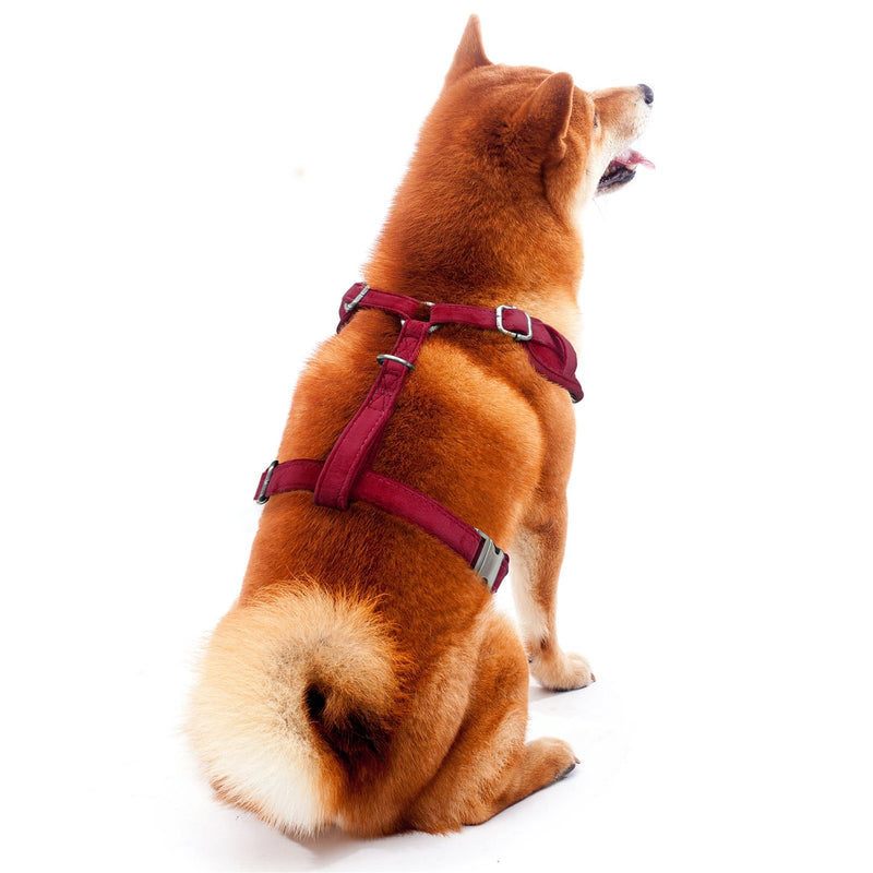 MN Golden Gophers Velvet Harness