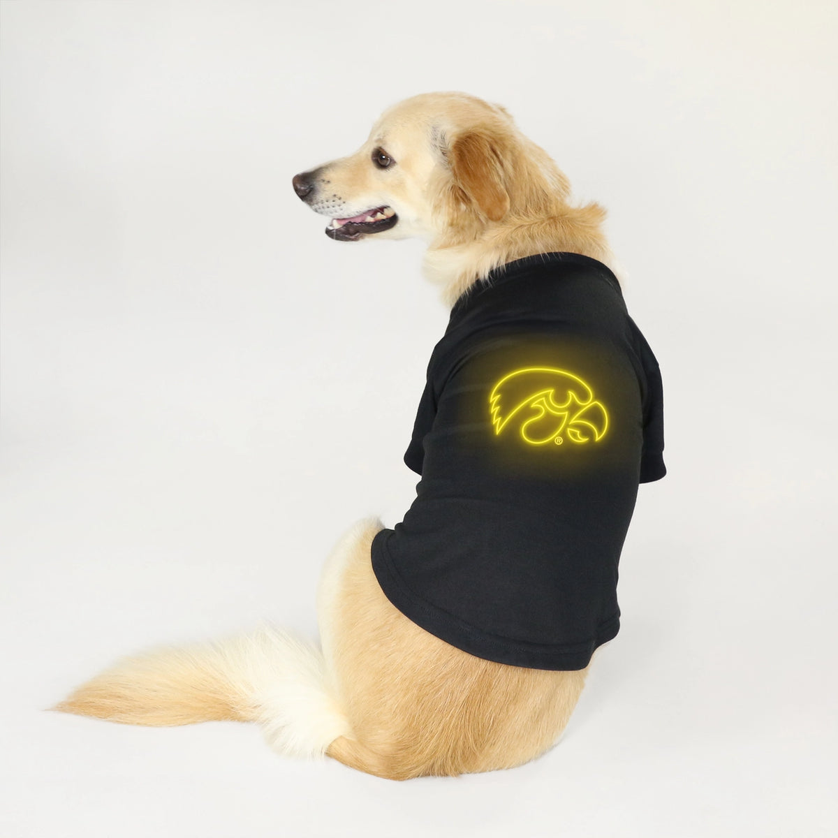 IA Hawkeyes Neon Tee Shirt