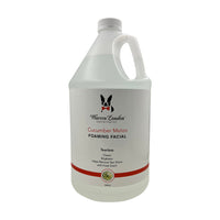 Cucumber Melon Foaming Facial - Professional Size - Refill