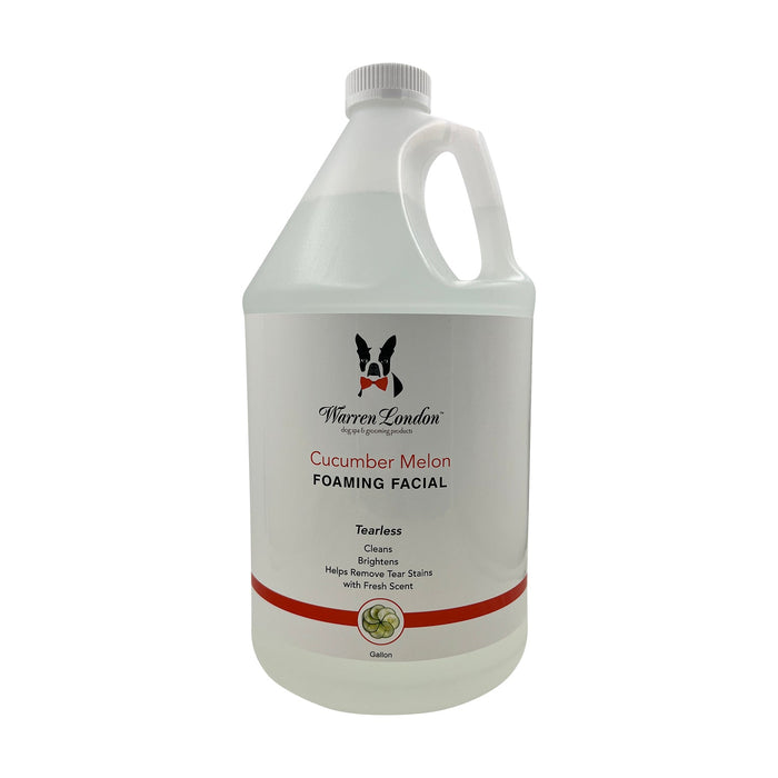 Cucumber Melon Foaming Facial - Professional Size - Refill