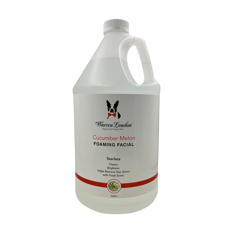 Cucumber Melon Foaming Facial - Professional Size - Refill