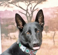 TKC Jacaranda Beaded Dog Collar