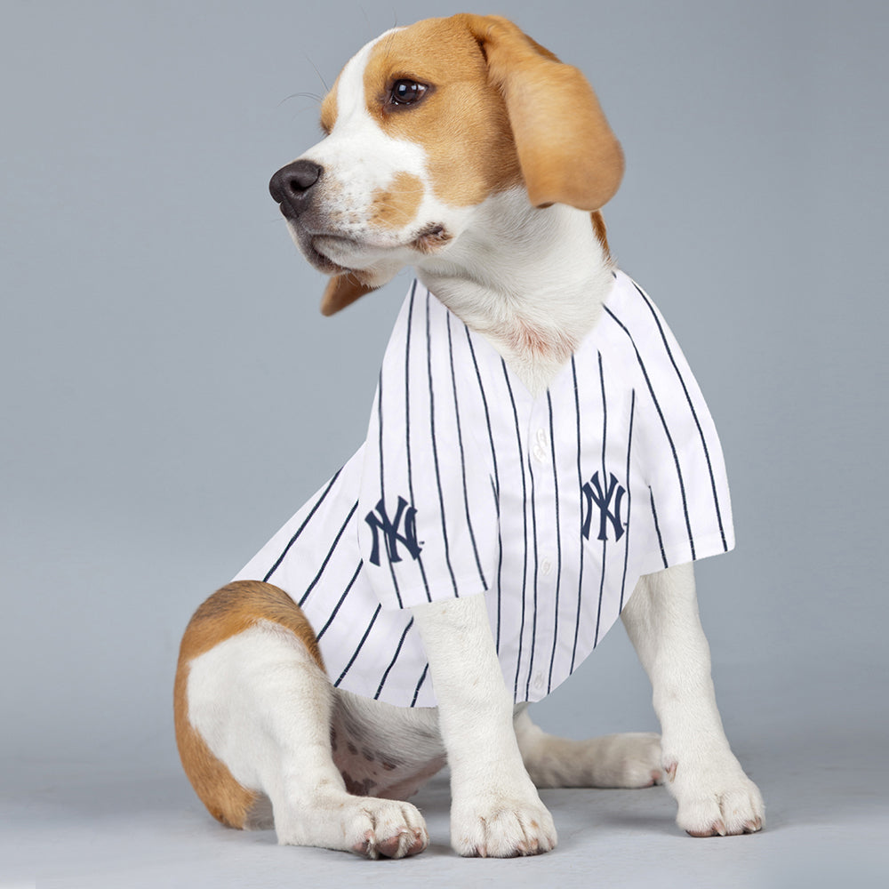 New York Yankees Aaron Judge #99 Player Pet Jersey