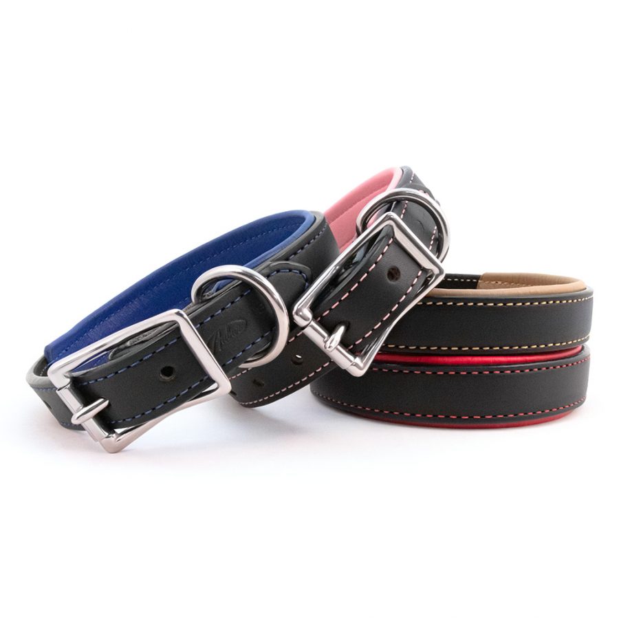 Black Padded Leather Collars with Accent Colors – 3 Red Rovers