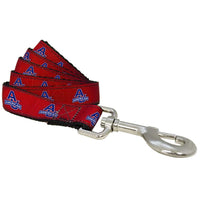 American University Eagles Nylon Dog Collar or Leash