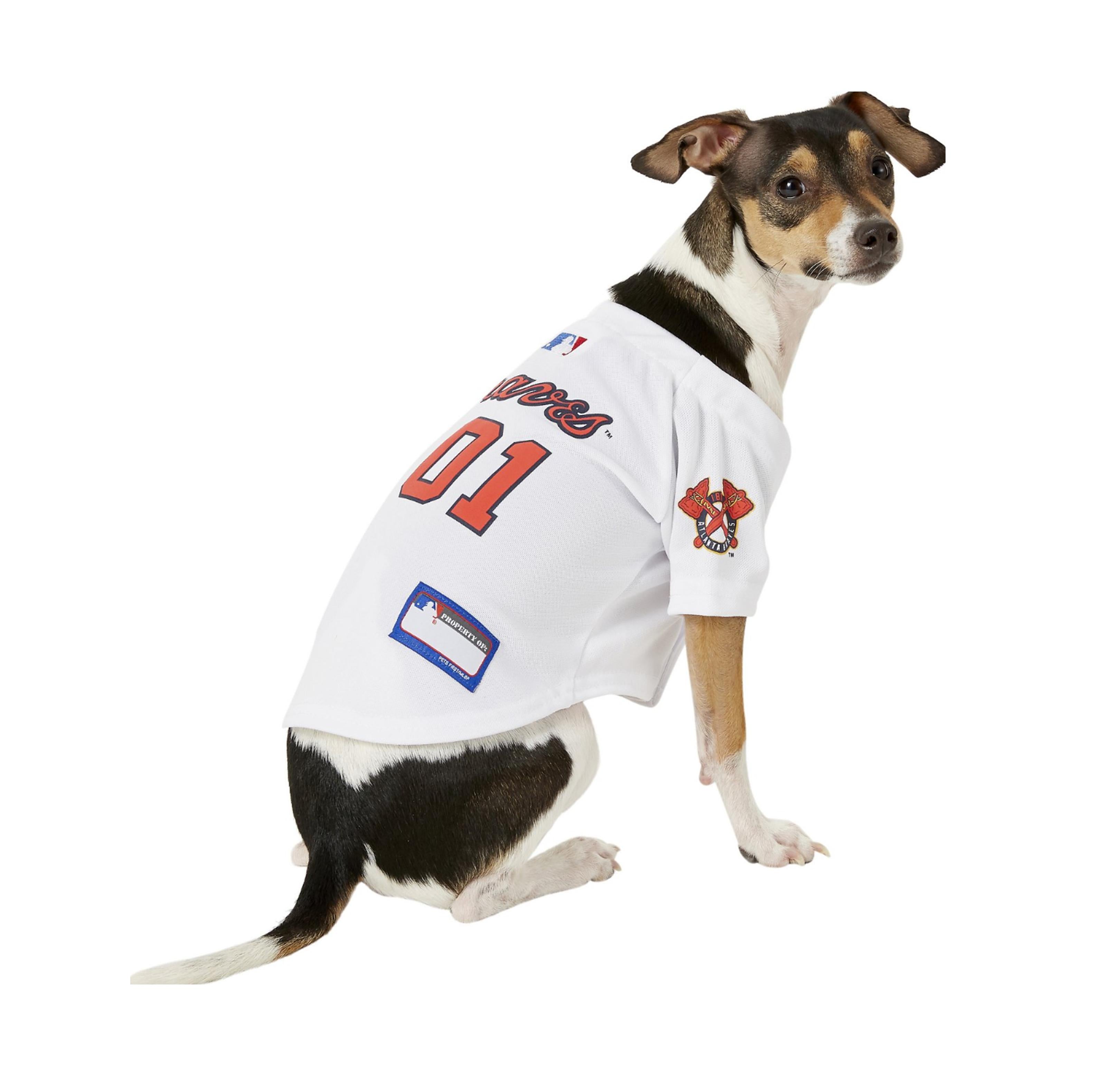 Braves dog sales jersey