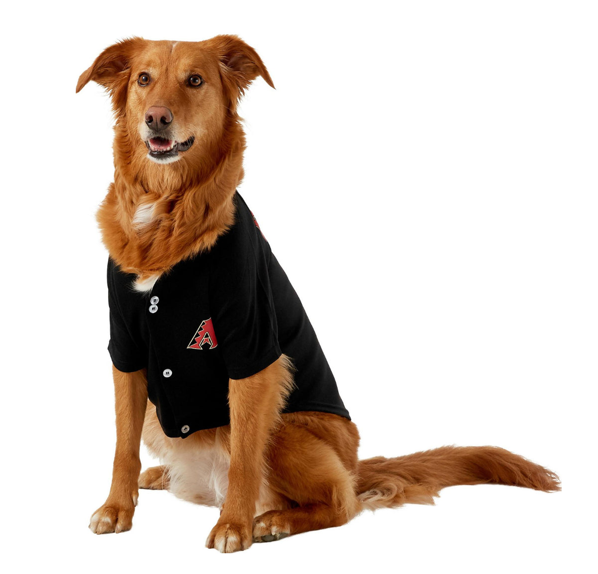 Pets First NCAA Louisville Cardinals Dog Cheerleader Outfit, Medium