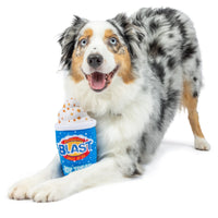 Arctic Blast Treat Plush Dog Toy