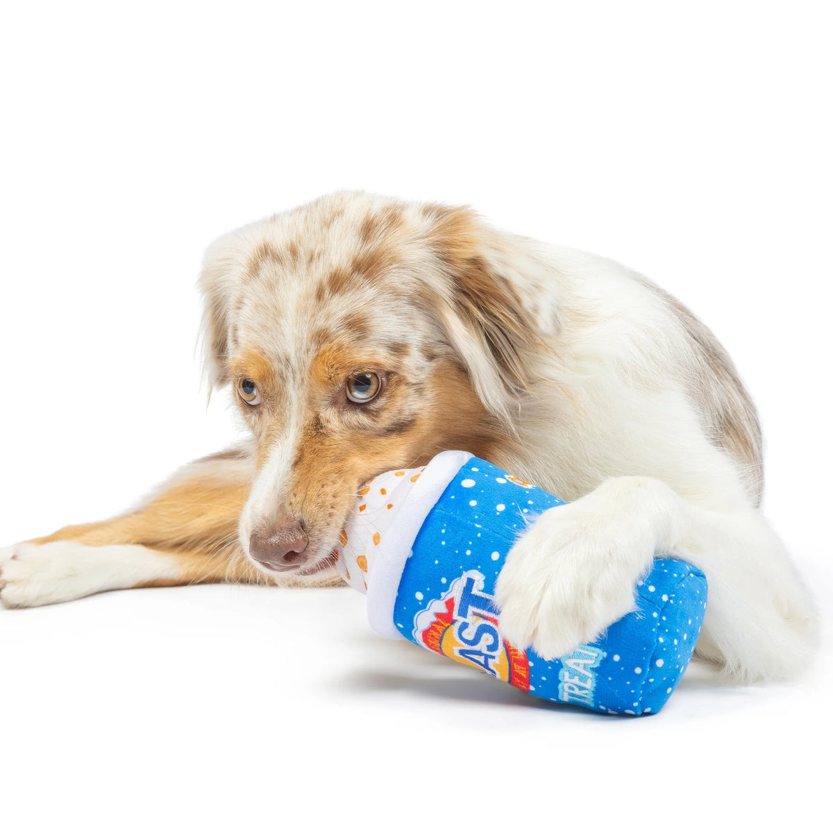 Arctic Blast Treat Plush Dog Toy