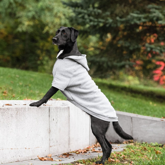 Brave Bark Hooded Dog Fleece - Heather Grey