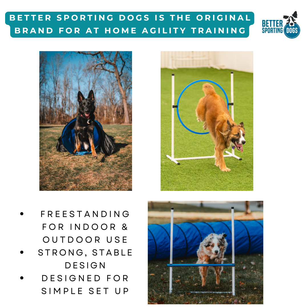 Better Sporting Dogs 3 Piece Dog Agility Equipment Set – with Jumps & Tunnel
