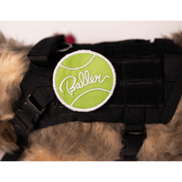 Baller Patch