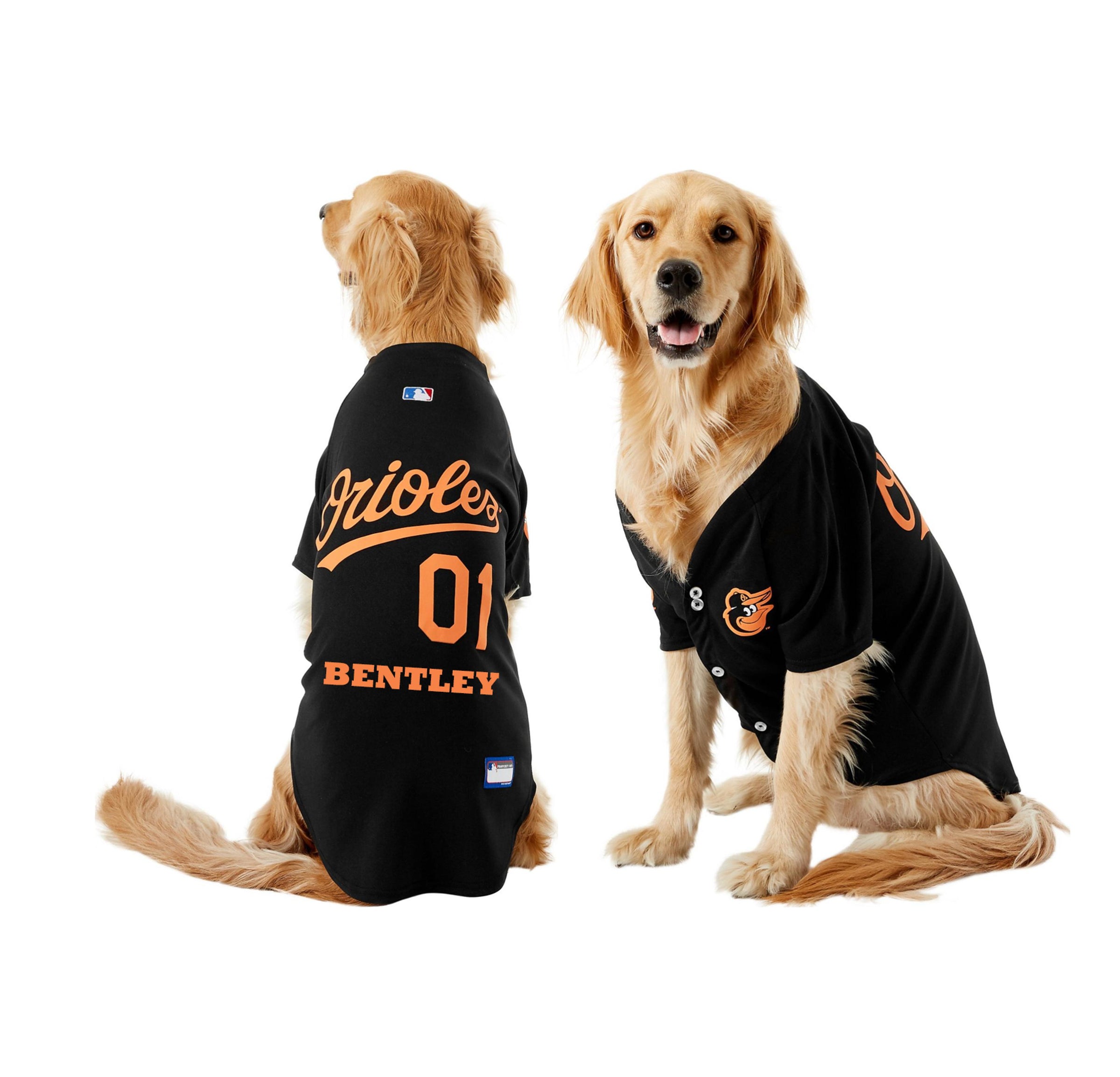 Pets First MLB Baltimore Orioles Dog Jersey, Large. - Pro Team Color  Baseball Outfit : : Pet Supplies