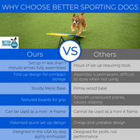 Better Sporting Dogs Practice See Saw – Fully Assembled Practice Teeter for Dog Agility Training