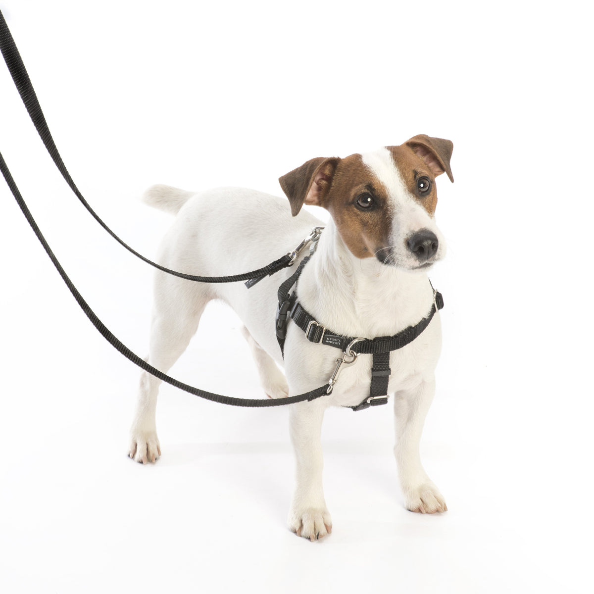 Black Freedom No-Pull Dog Harness