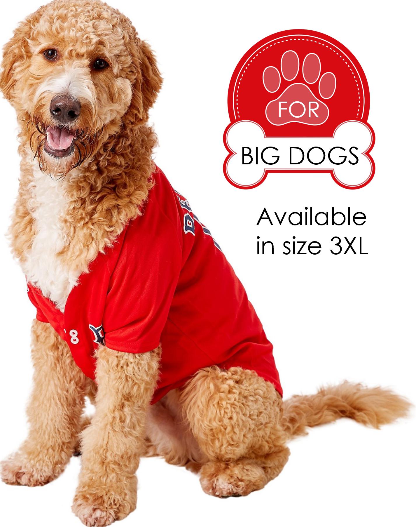 Red wings dog best sale jersey