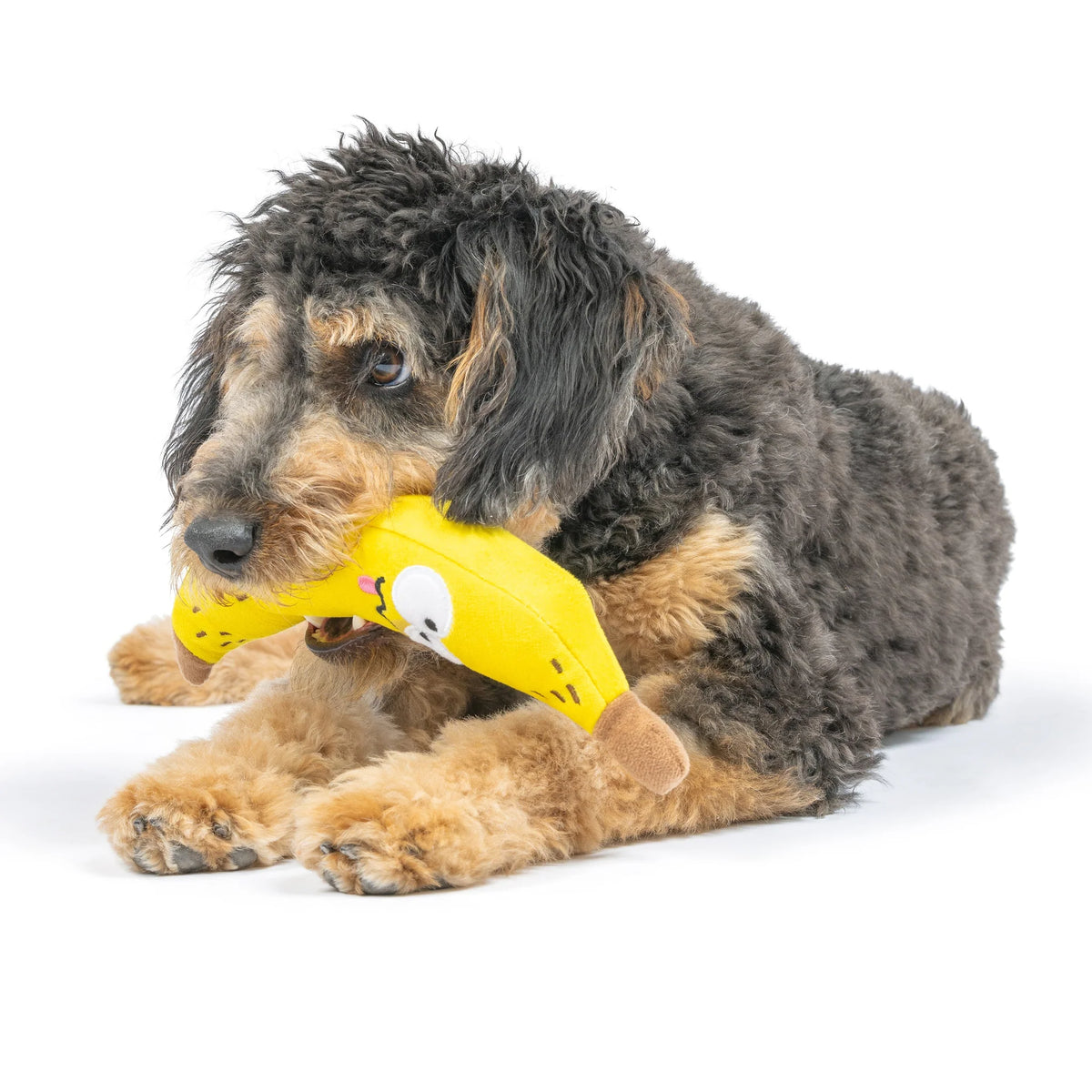 Bruiser Banana Plush Dog Toy