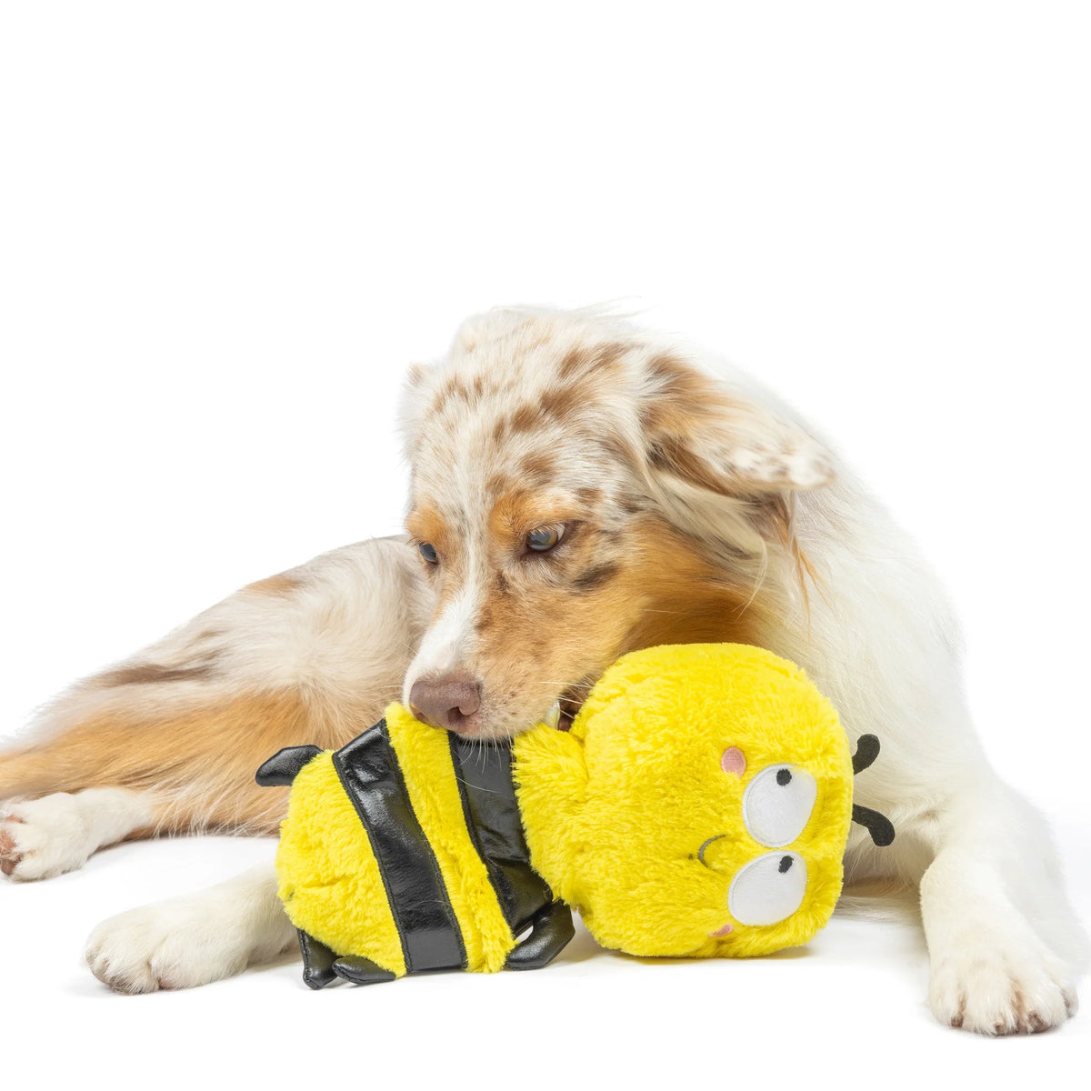 Buzz Bee Plush Slappies Dog Toy