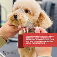 Crescent Detail Pet Comb