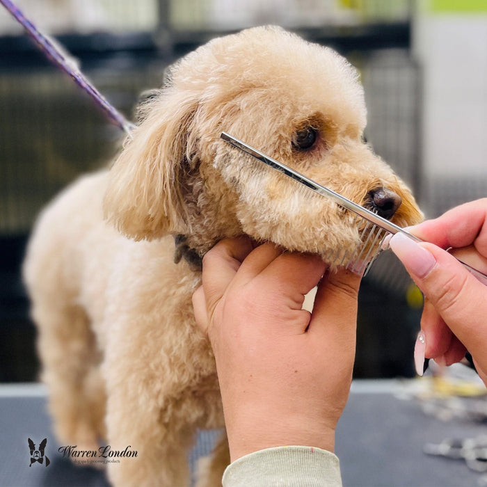 Crescent Detail Pet Comb