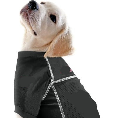 Charlotte FC Pet Basic Jersey -Medium