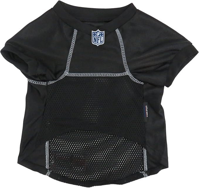 Charlotte FC Pet Basic Jersey -Medium