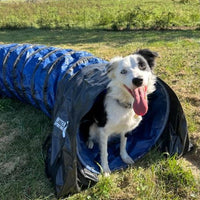Better Sporting Dogs Heavy Duty Dog Agility Tunnel – 10 ft PVC Training Tunnel with Sandbags