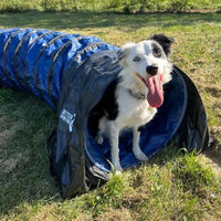 Better Sporting Dogs Heavy Duty Dog Agility Tunnel – 16 ft PVC Training Tunnel with Sandbags