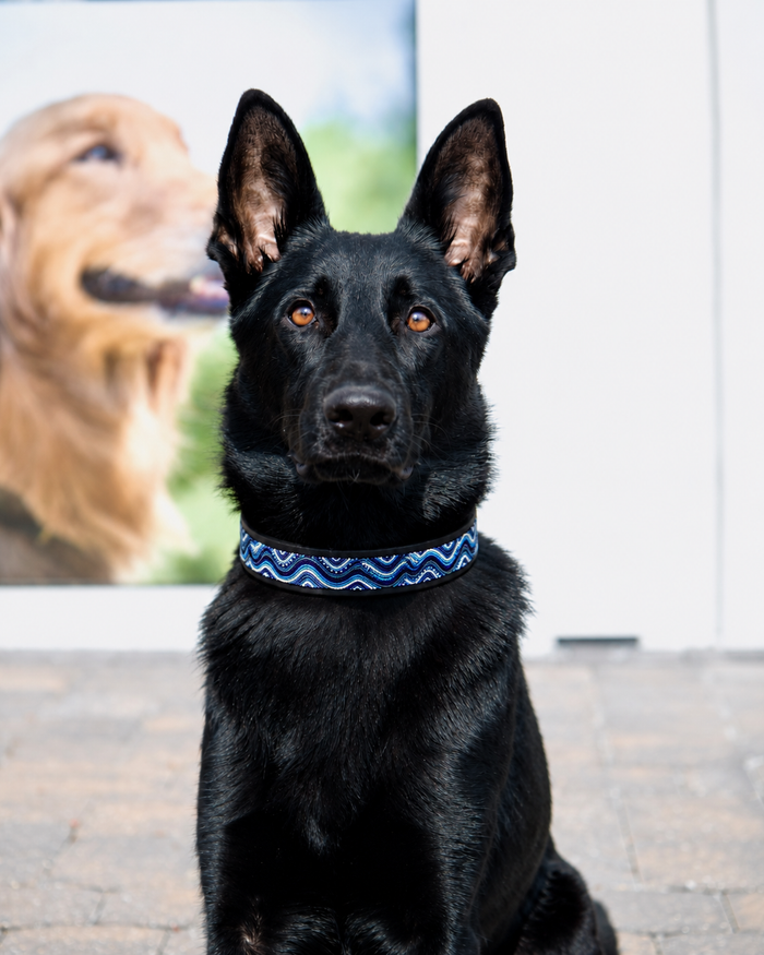 TKC The Wave Beaded Dog Collar