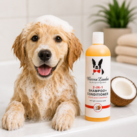 2-in-1 Dog Shampoo & Conditioner – Coconut, 17 oz