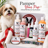 Warren London Dog Gift Box