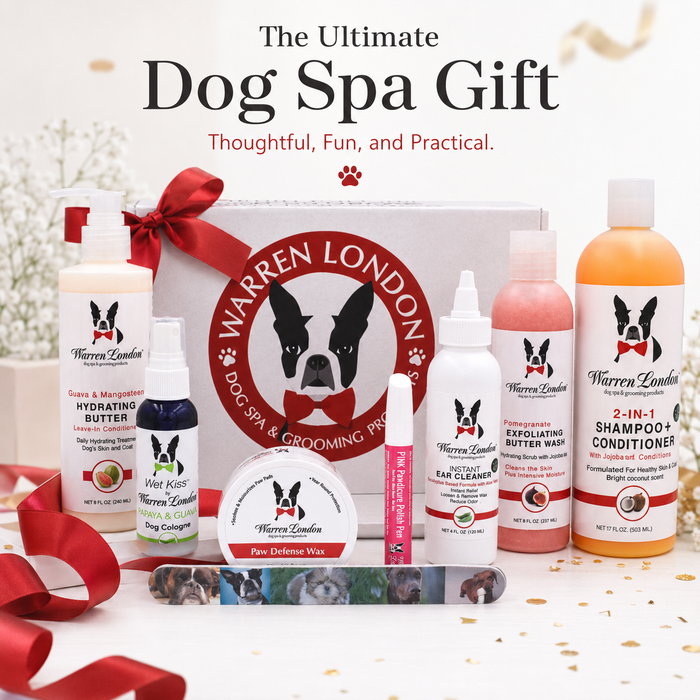 Warren London Dog Gift Box