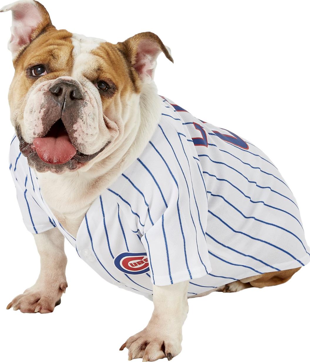 chicago cubs dog costume
