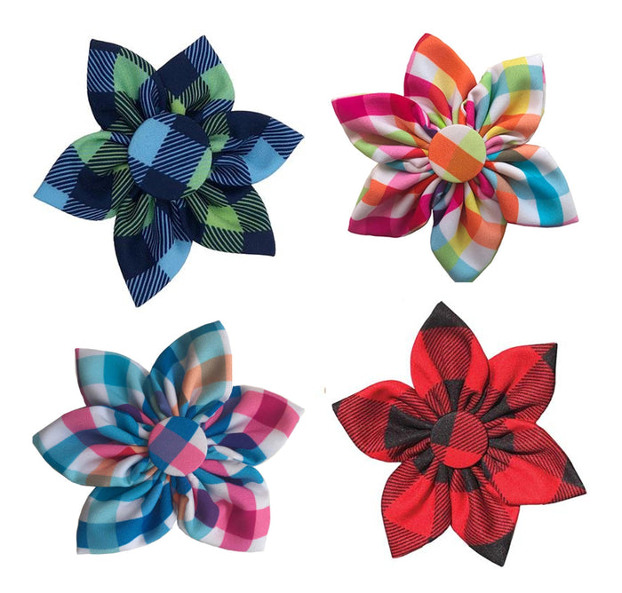 Classic Checks Collar Pinwheel Collection - 4 Styles - 3 Red Rovers