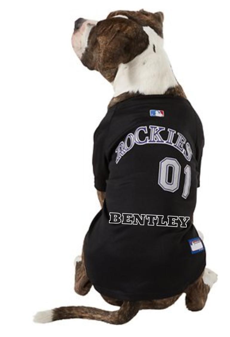 Colorado rockies on sale dog jersey