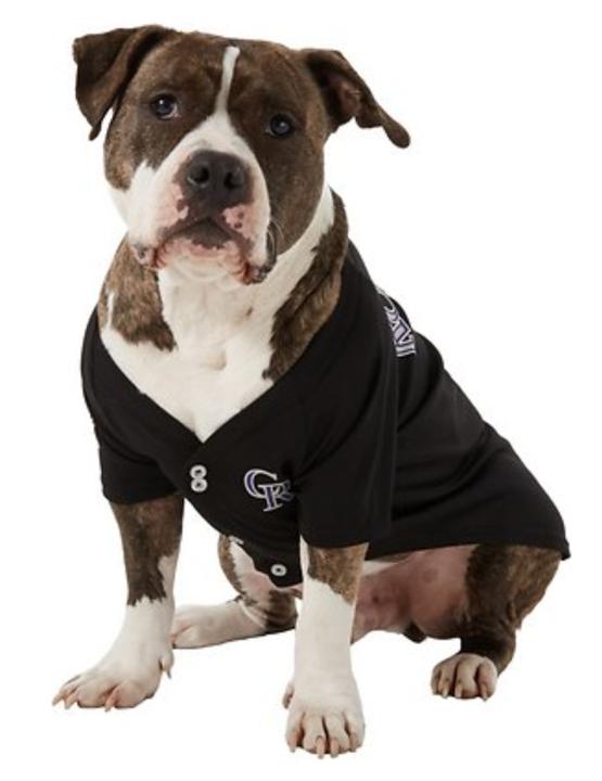 Colorado rockies dog jersey on sale